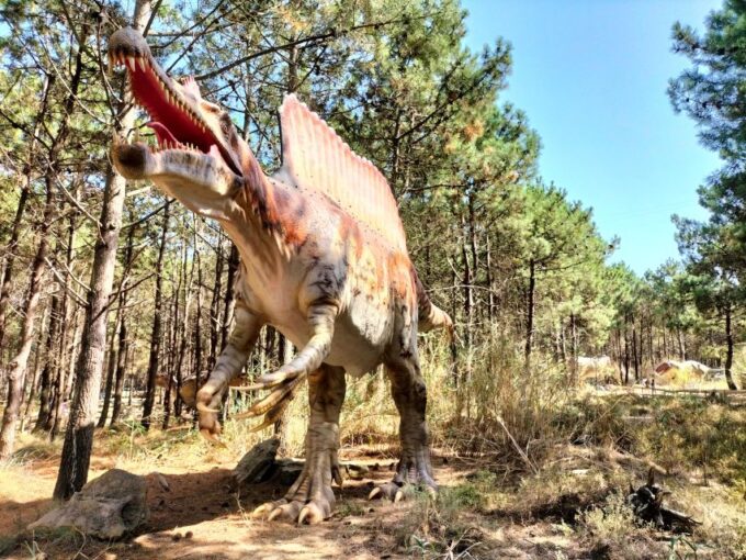 From Lisbon: Trip to Dinosaurs & Little Portugal Theme Parks - Inclusions and Amenities