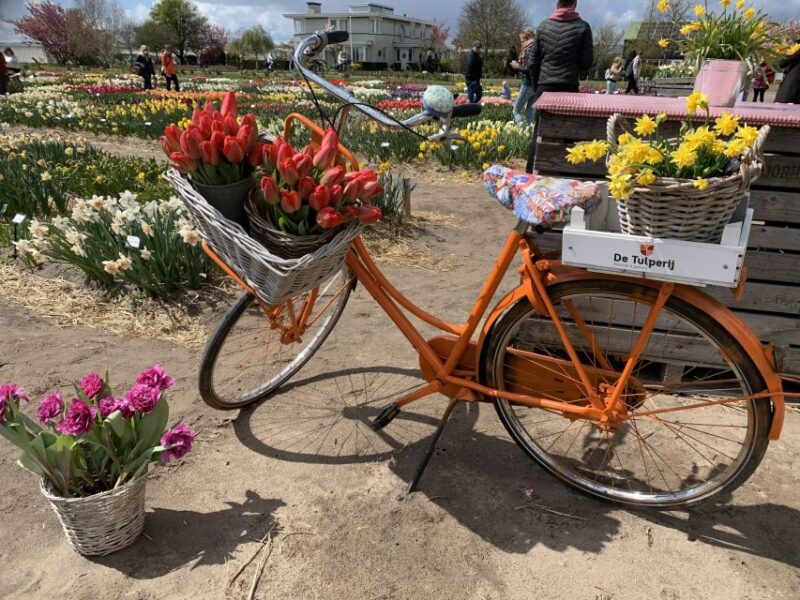From Lisse: Flower Bike Tour Along Keukenhof and Flowerfarm - Participant Information