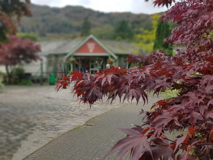 From Liverpool: Lake District Sightseeing Adventure Day Trip - Meeting Point and Departure