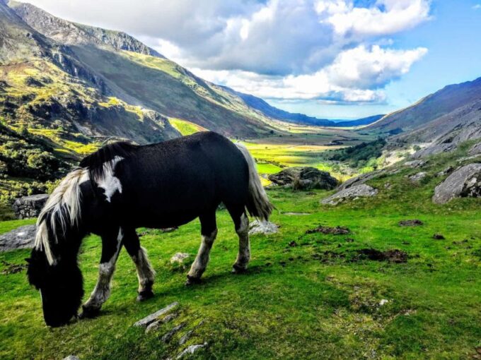 From Liverpool: North Wales Adventure Sightseeing Day Trip - Booking and Flexibility
