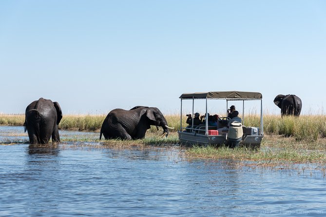 From Livingstone, Victoria Falls or Kasane - Chobe Day Tour - Key Points