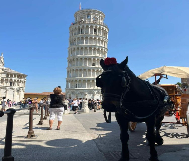 From Livorno Cruise Port: Bus Transfer to Pisa and Lucca - Tour Pricing
