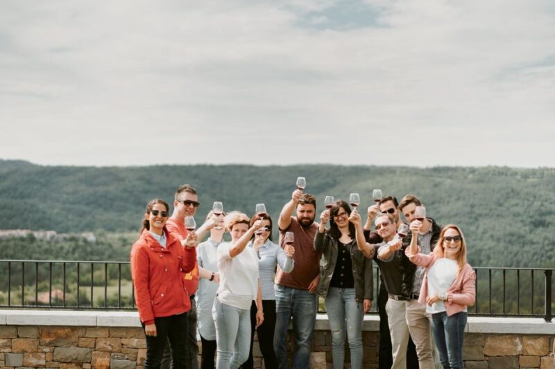 From Ljubjana: Slovenian Wine Tour - Inclusions
