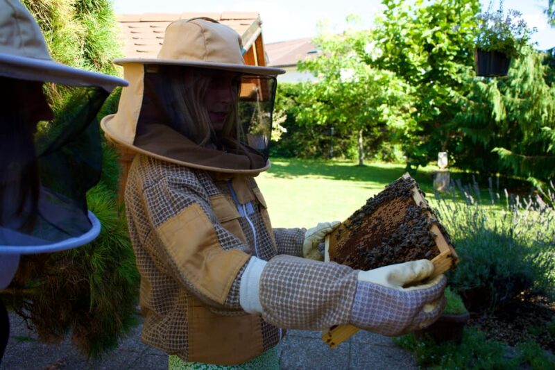 From Ljubljana: All About Bees - Key Points