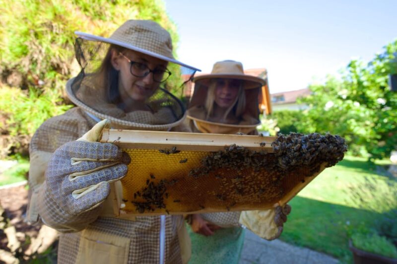 From Ljubljana: All About Bees - Itinerary and Locations