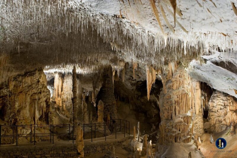 From Ljubljana: Postojna Cave and Predjama Castle Tour - Itinerary