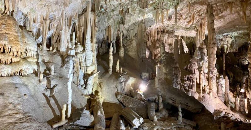 From Ljubljana: Postojna Cave Day Trip - Key Points