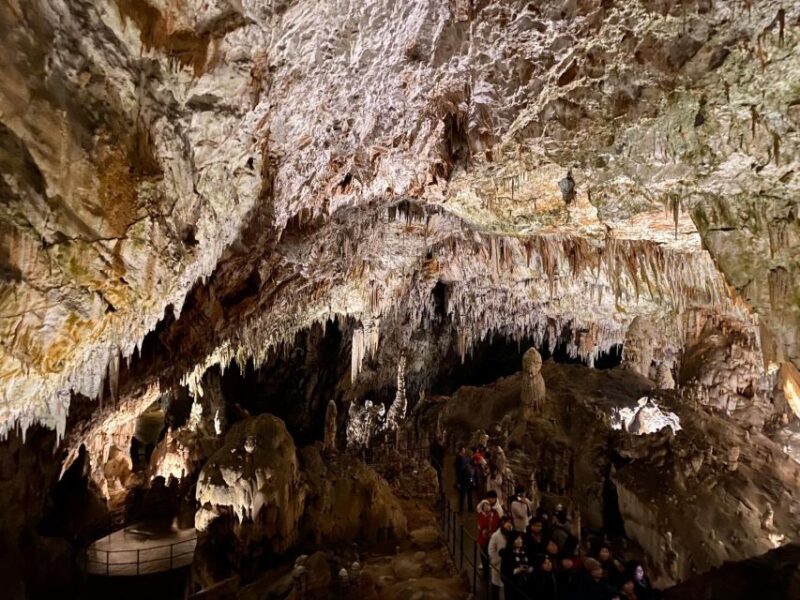 From Ljubljana: Postojna Cave Day Trip - Cave Experience