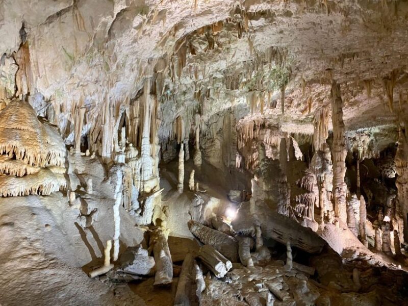 From Ljubljana: Postojna Cave Day Trip - Group Type