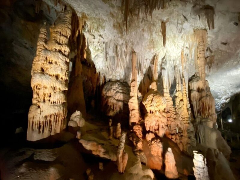 From Ljubljana: Postojna Cave Day Trip - Pickup and Dropoff