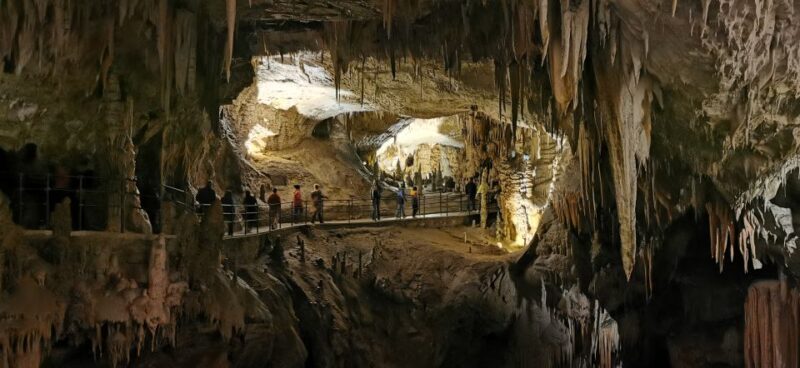 From Ljubljana: Postojna Cave & Predjama Castle Guided Trip - Booking Information