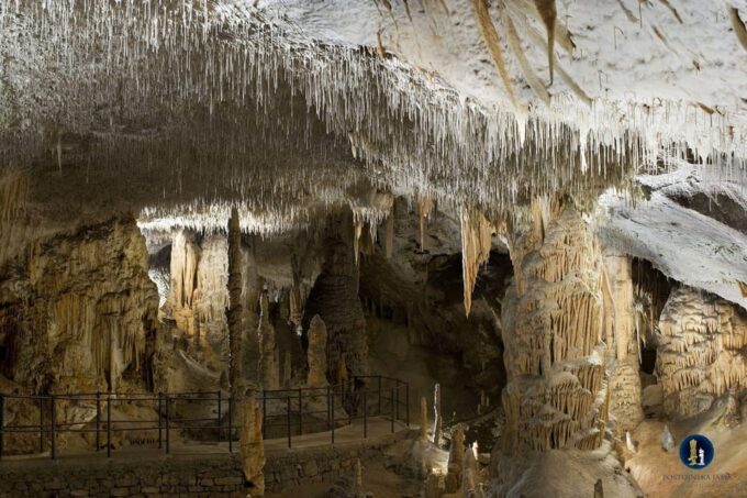 From Ljubljana: Postojna Cave & Predjama Castle & Piran Tour - Customer Reviews
