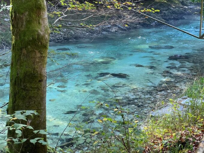 From Ljubljana: Triglav National Park Tour - PRIVATE - Frequently Asked Questions