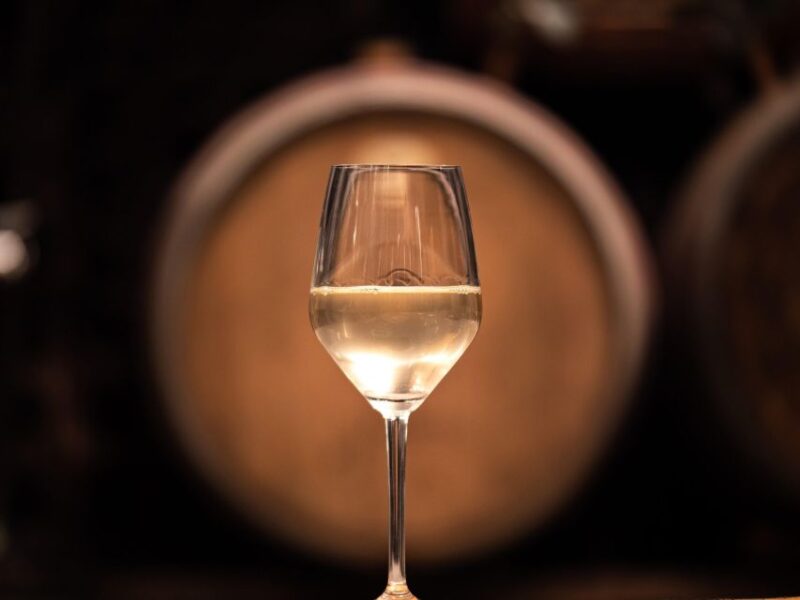 From Ljubljana: Vipava Valley Wine Express Tour - Key Points