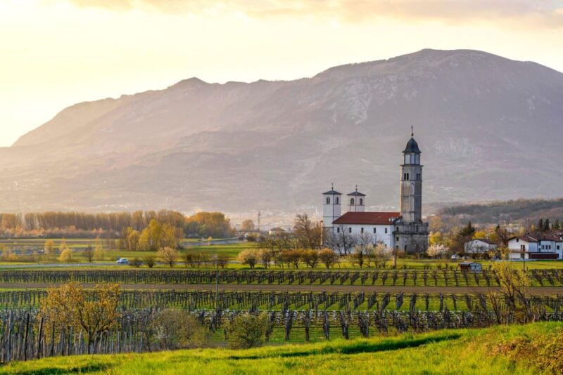From Ljubljana: Vipava Valley Wine Express Tour - Customer Reviews and Feedback