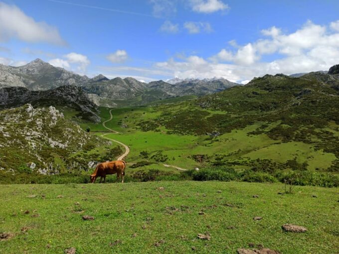 From Llanes: Lakes of Covadonga Guided Day Trip - Tour Logistics