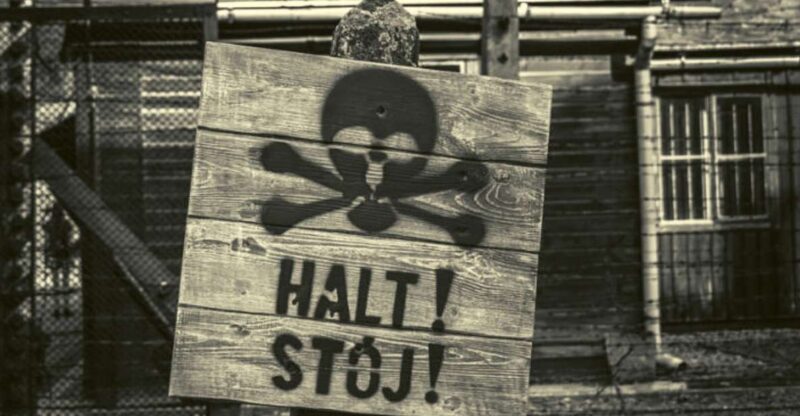 From Lodz: Auschwitz-Birkenau Small-Group Tour With Lunch - Highlights of Experience