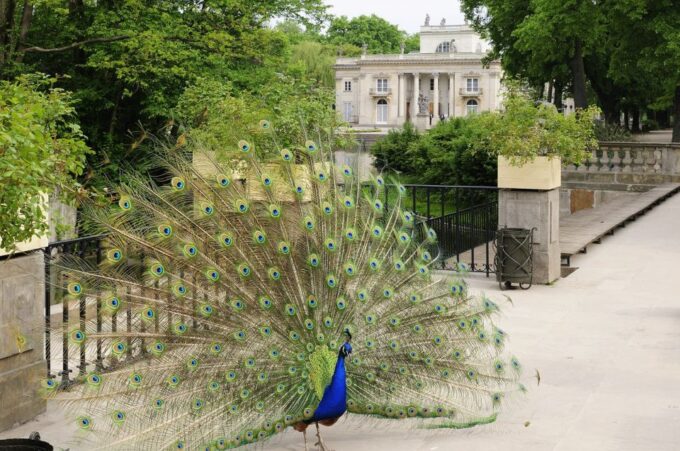 From Lodz: Warsaw City Private Guided Day Trip - What to Expect