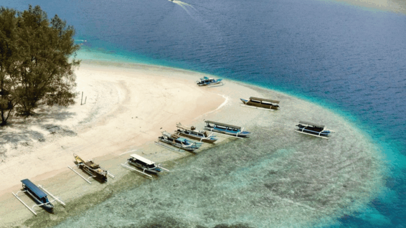 From Lombok: A Day Tour To Gili Nangu, Sudak, Kedis - Transportation and Logistics