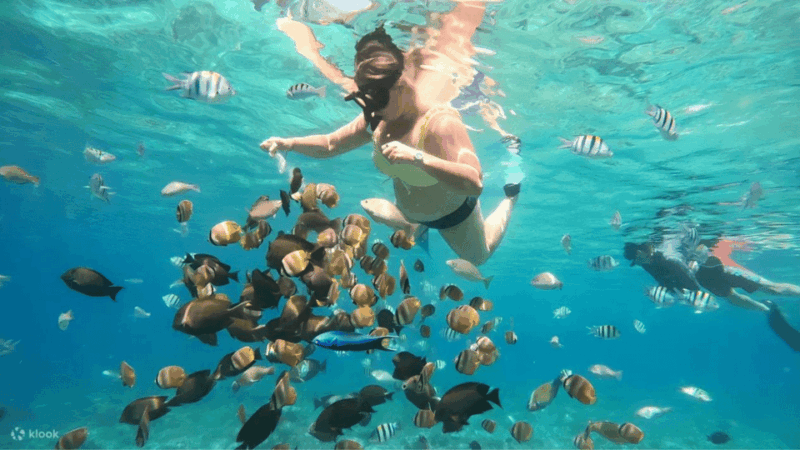 From Lombok: A Day Tour To Gili Nangu, Sudak, Kedis - Important Information