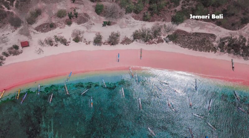 From Lombok: Full Day Tour 3 Pink Beach and 3 Gili - Private Boat Charter