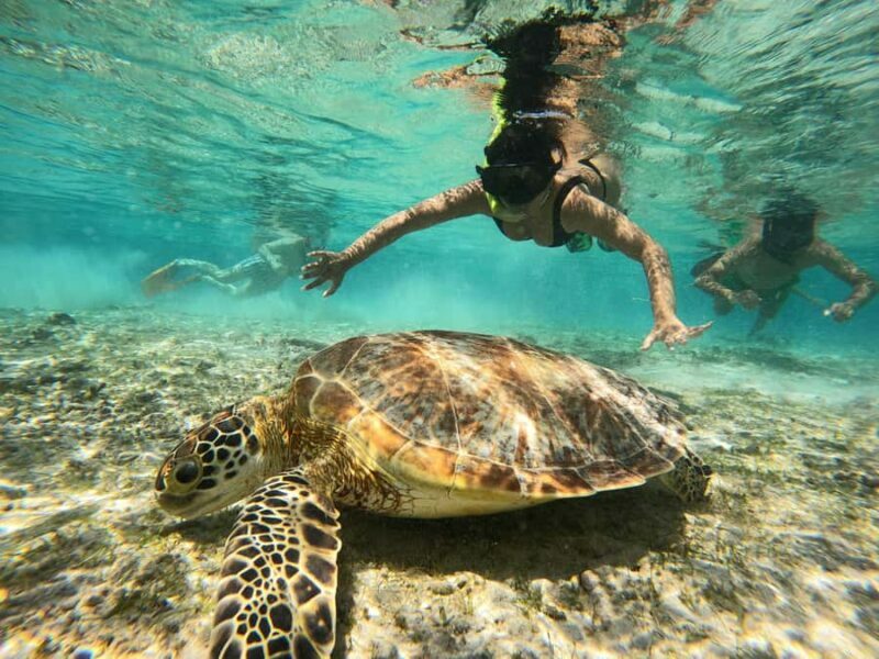 From Lombok: Gili Islands Snorkeling Day Trip - The Experience: A Journey Through the Gili Islands