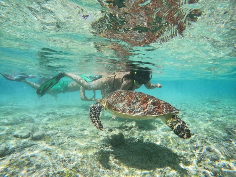 From Lombok: Gili Islands Snorkeling Day Trip - The Itinerary in Detail