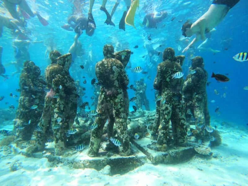 From Lombok: Gili Islands Snorkeling Day Trip - Who’s This Tour Best For?