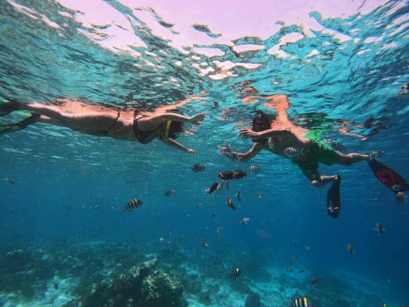 From Lombok: Gili Islands Snorkeling Day Trip - FAQs