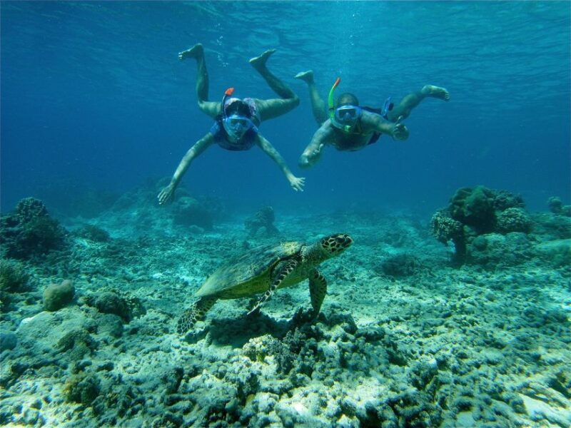From Lombok: Gili Islands Snorkeling Day Trip - Guided Tour