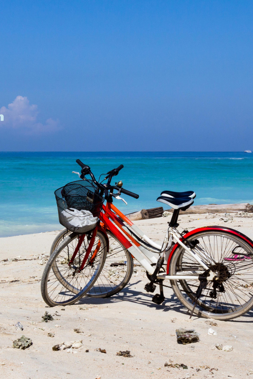 From Lombok: Private Tour Snorkeling 3 Gili Inc Lunch & Bike - Key Points