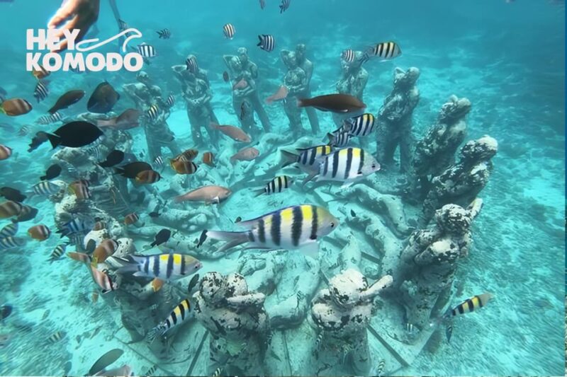 From Lombok: Private Tour Snorkeling 3 Gili Inc Lunch & Bike - Customer Reviews and Feedback