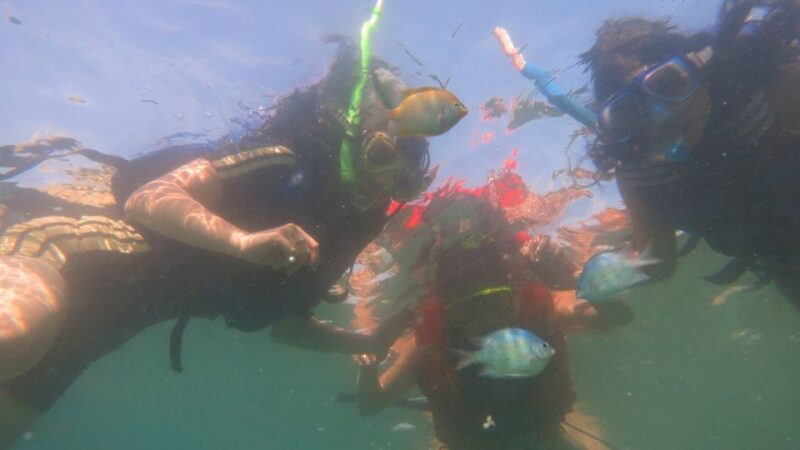 From Lombok: Southern Gilis Private Snorkelling Day Trip - Pricing Details