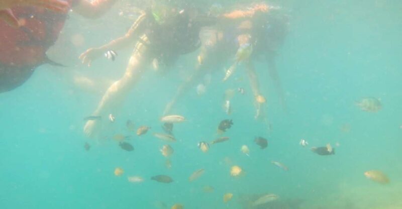 From Lombok: Southern Gilis Private Snorkelling Day Trip - Itinerary and Activities