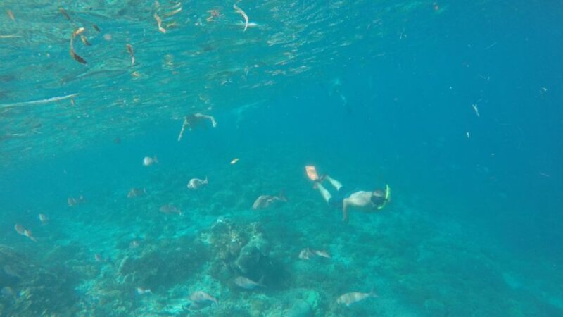 From Lombok: Southern Gilis Private Snorkelling Day Trip - Important Notes