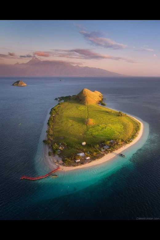 From Lombok,Sumbawa Whale Shark Tour 2D1N - Key Points
