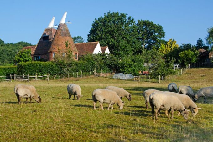 From London: Canterbury, Dover, and Kent Villages Day Trip - Tour Pricing and Policies