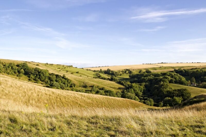 From London: Stonehenge and Bath Day Trip With Ticket - Wiltshire Countryside