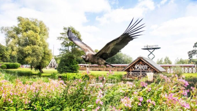 From London: Warwick Castle Day Trip by Rail - Comfortable Shoes Recommended