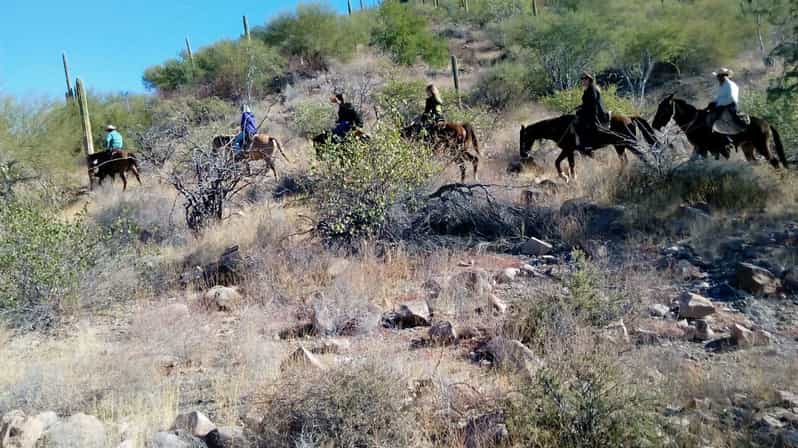From Loreto: Baja Desert Horseback Riding Tour - Experience Highlights