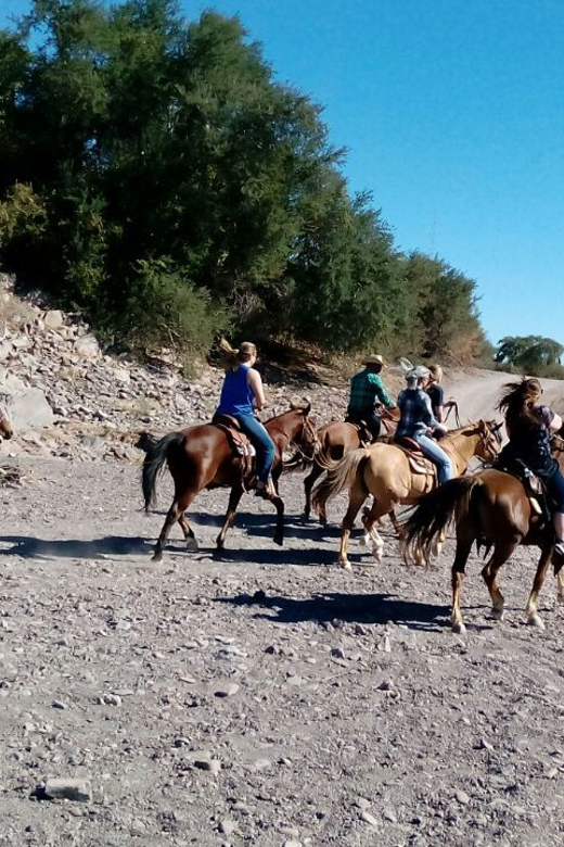 From Loreto: Baja Desert Horseback Riding Tour - Tour Itinerary