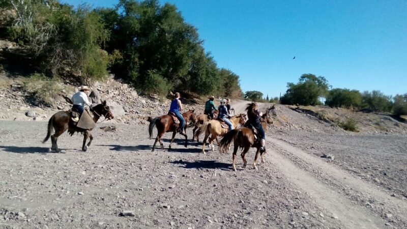 From Loreto: Baja Desert Horseback Riding Tour - Participant Restrictions and Recommendations