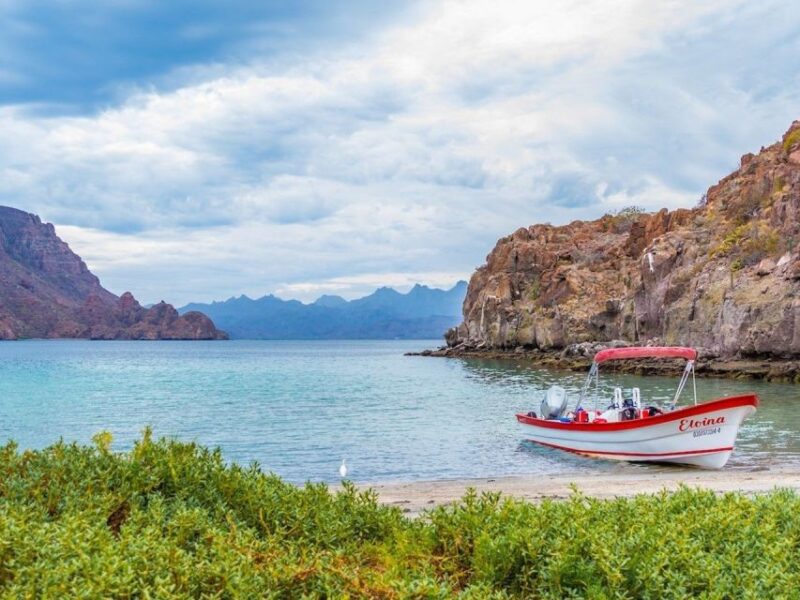 From Loreto: Coronado Island Snorkel - Important Information to Know