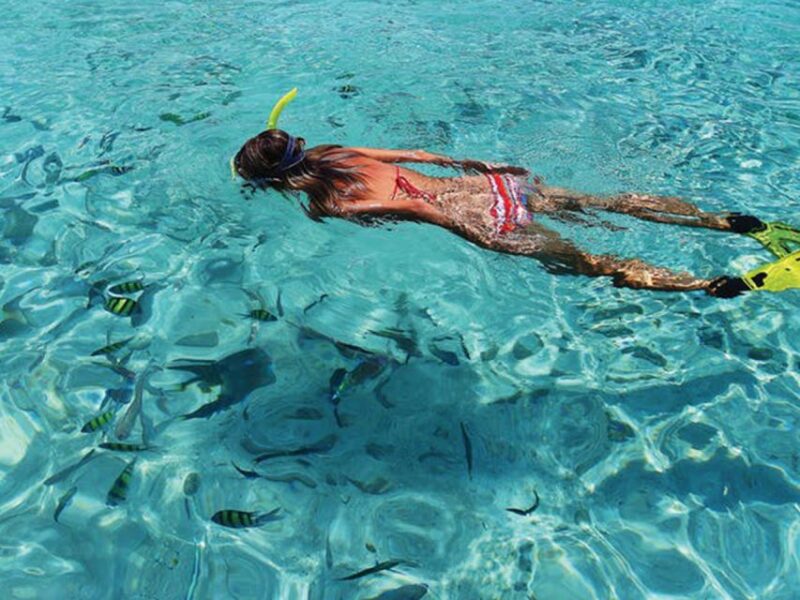 From Loreto: Snorkeling Catamaran Cruise - Key Points