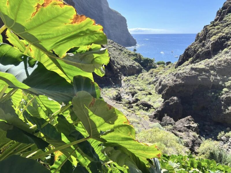 From Los Gigantes: Masca Canyon Hike With Water Taxi Return - Customer Satisfaction