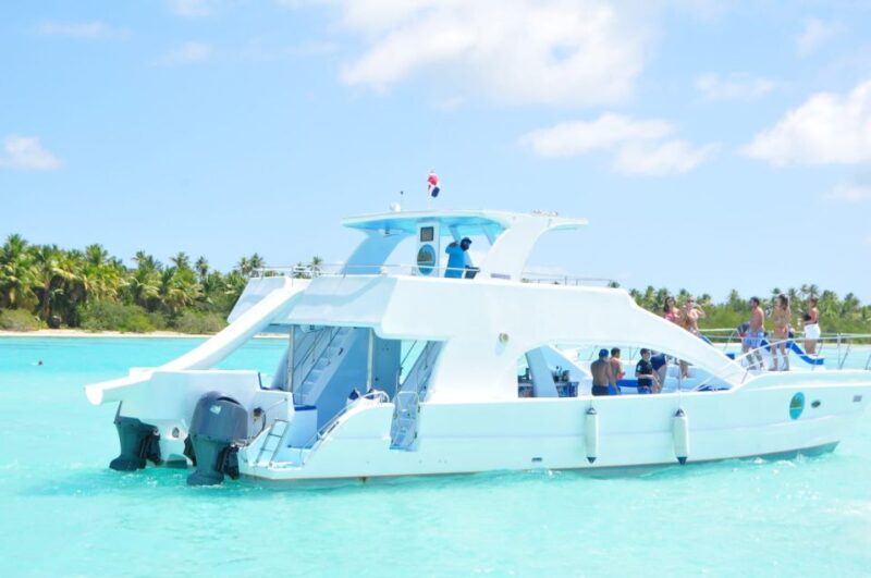 From Los Melones: Saona Island Day Trip With Lunch - Customer Feedback