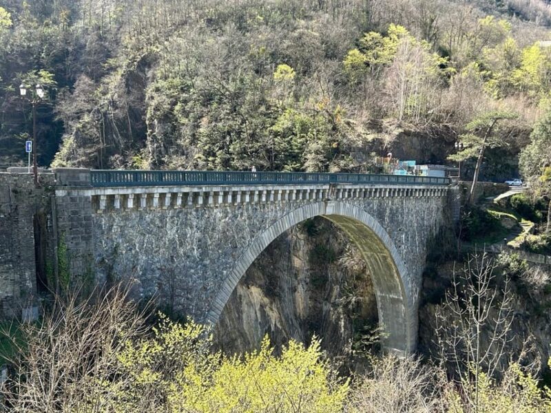 From Lourdes: Gavarnie and Pont Despagne Day Trip - Customer Feedback