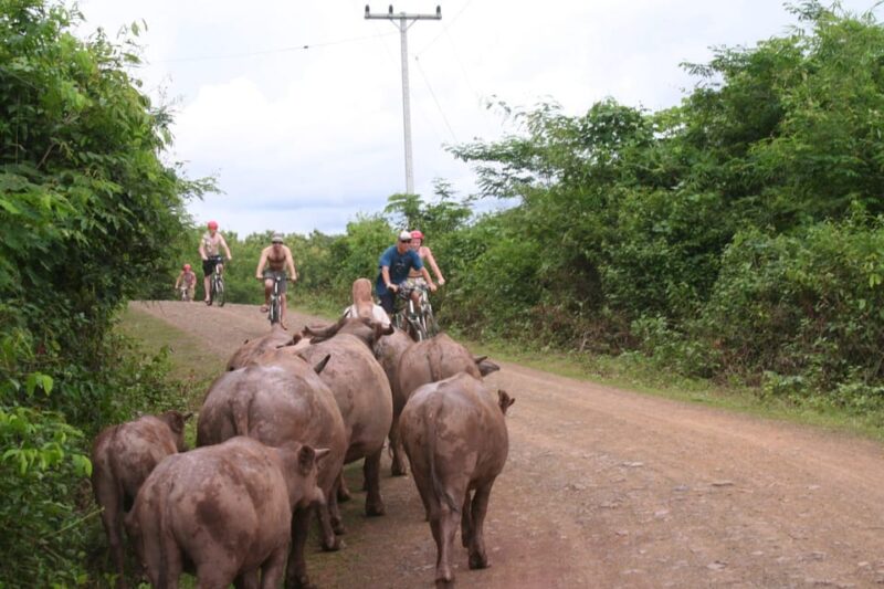 From Luang Prabang: Guided Mountain Bike Tour With Lunch - Optional Upgrade Activities