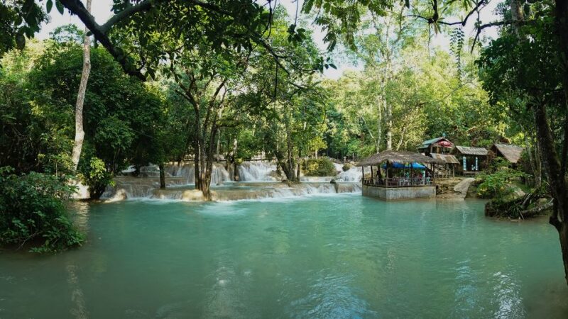 From Luang Prabang: Thin Pha Trail & Tad Sae Falls Trek - Relaxation and Rejuvenation