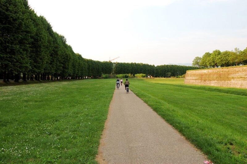 From Lucca to Pisa: Self-Guided Bike Tour - Tour Overview and Pricing